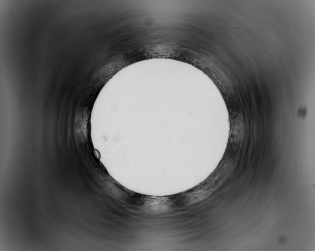 X0000103330334200810171429