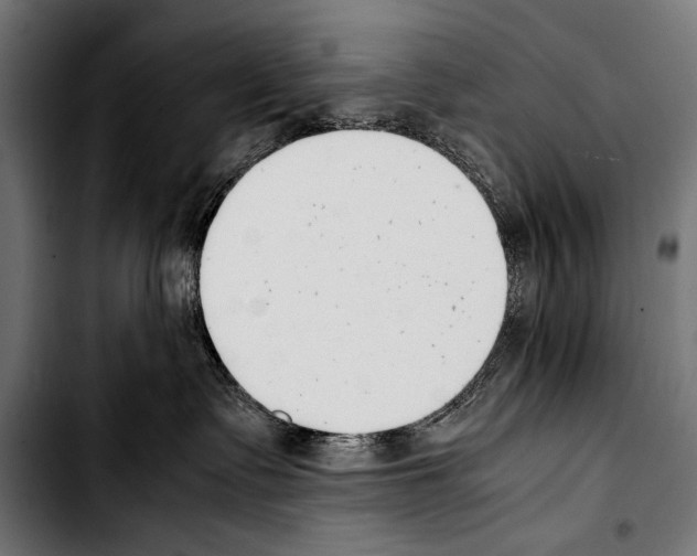 X0000103330335200810171429