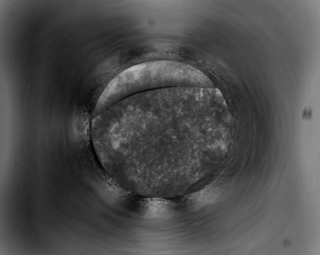 X0000103330336200810171429