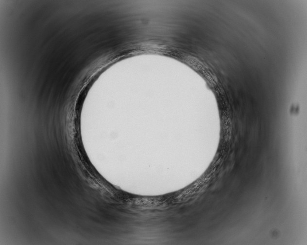 X0000103330338200810171429