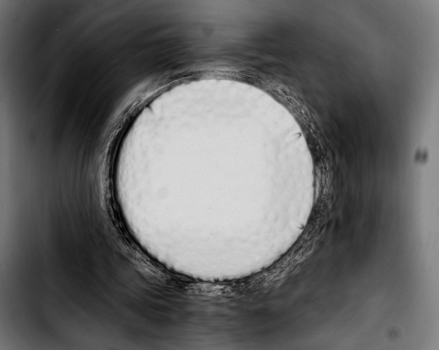 X0000103330339200810171429