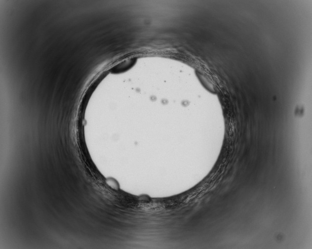 X0000103330340200810171429