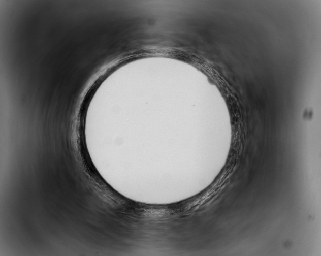 X0000103330342200810171429