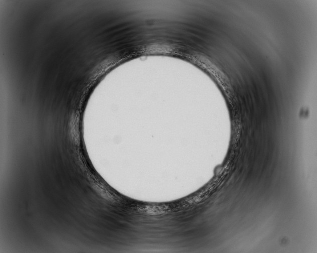 X0000103330345200810171429