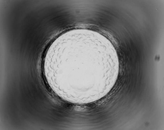 X0000103330346200810171429