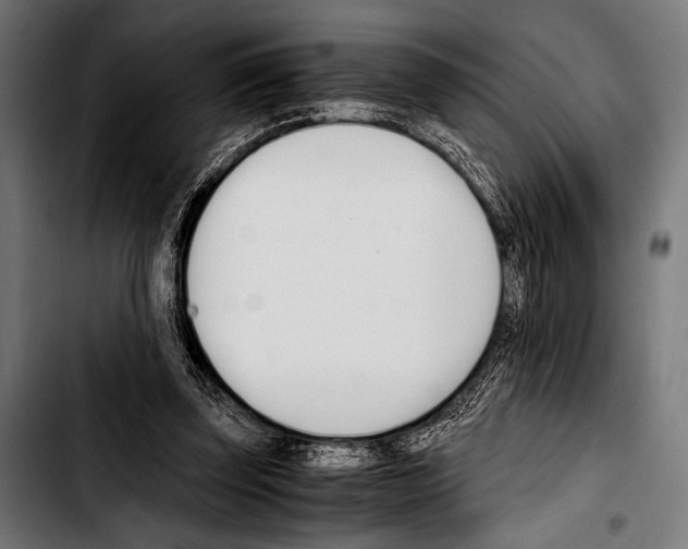 X0000103330347200810171429