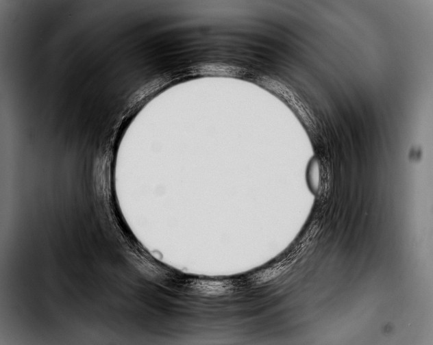 X0000103330349200810171429