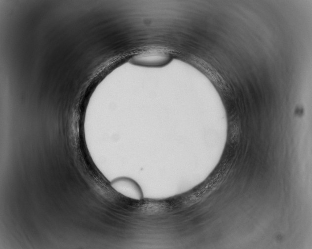 X0000103330350200810171429