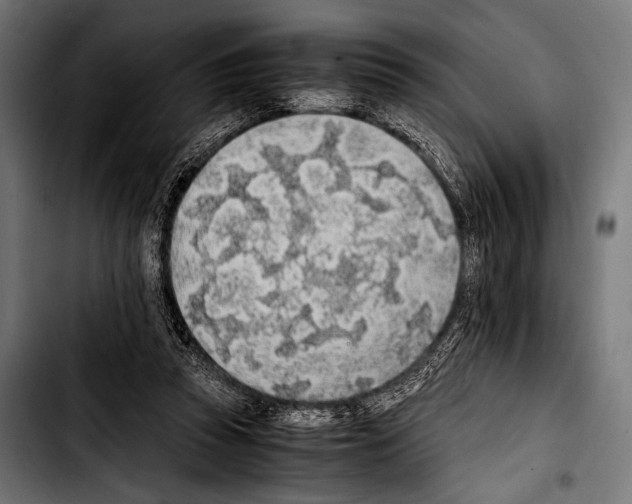 X0000103330353200810171429