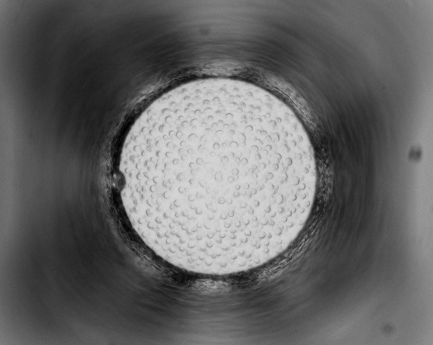 X0000103330354200810171429