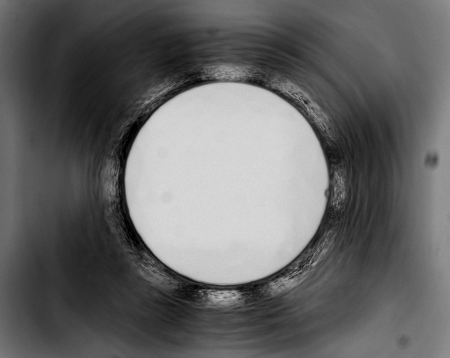 X0000103330355200810171429