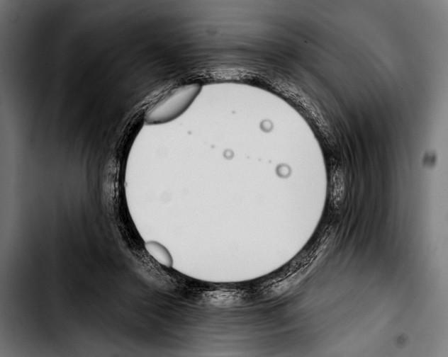 X0000103330356200810171429