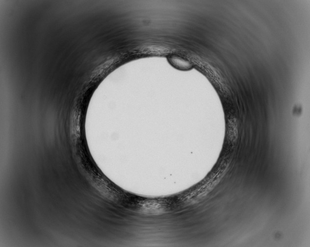 X0000103330358200810171429