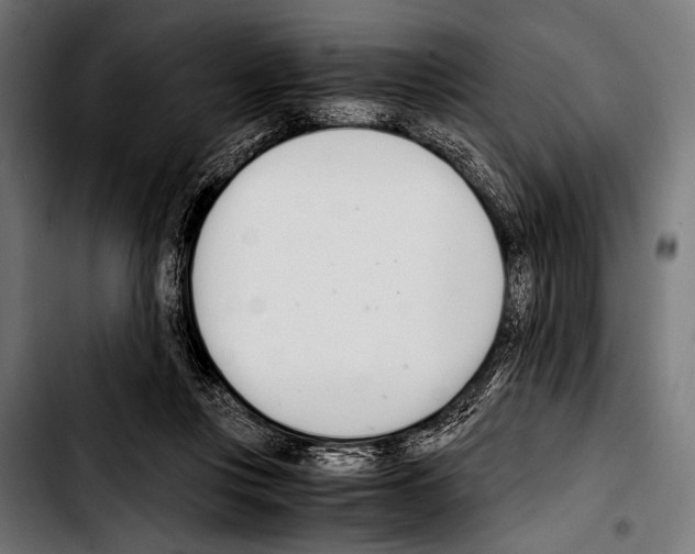 X0000103330359200810171429