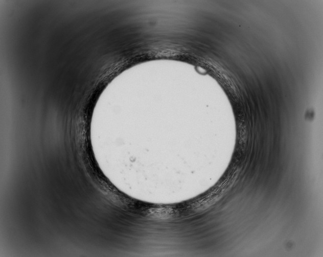 X0000103330362200810171429