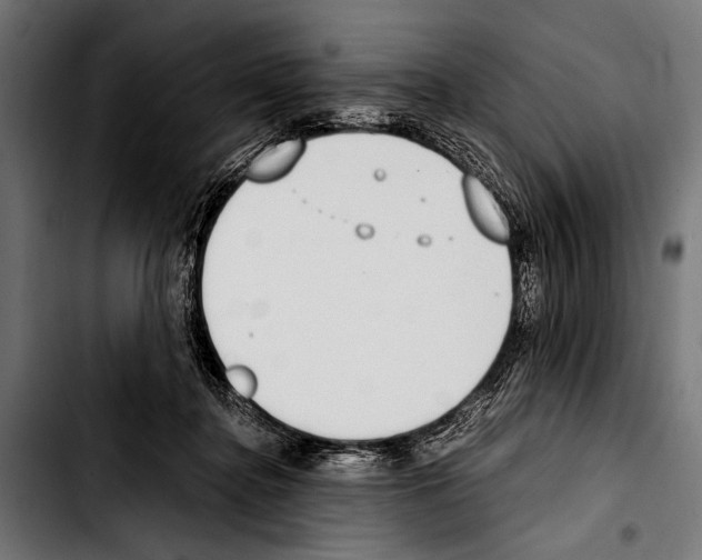 X0000103330364200810171429