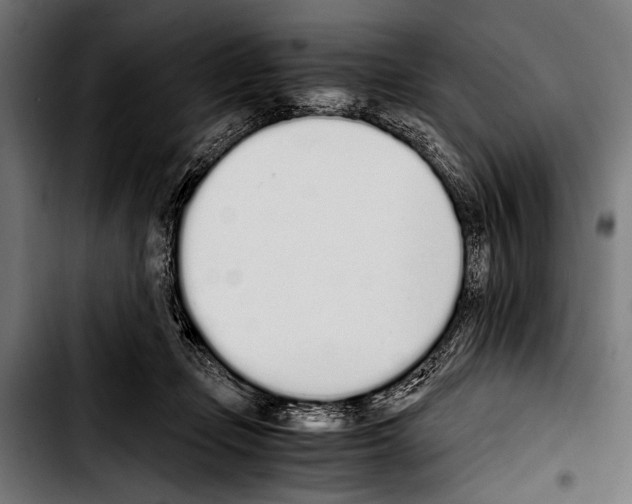 X0000103330365200810171429