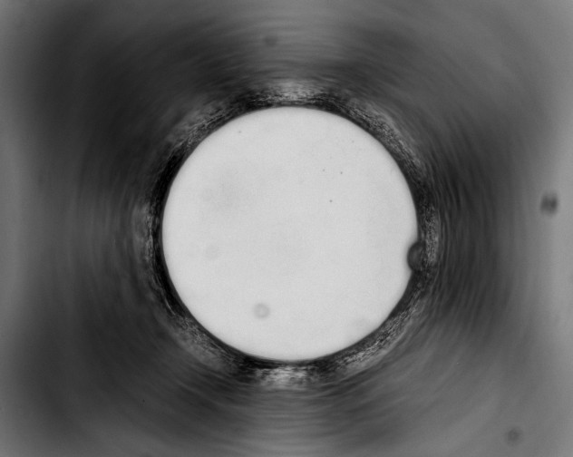 X0000103330366200810171429