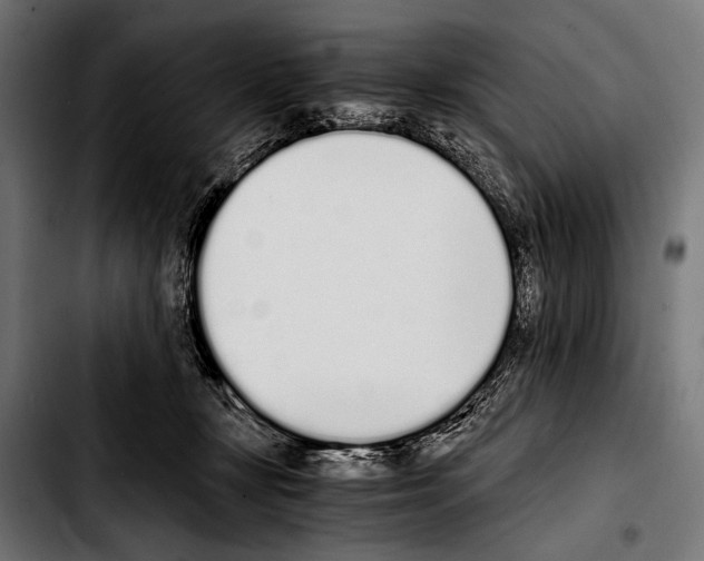 X0000103330367200810171429