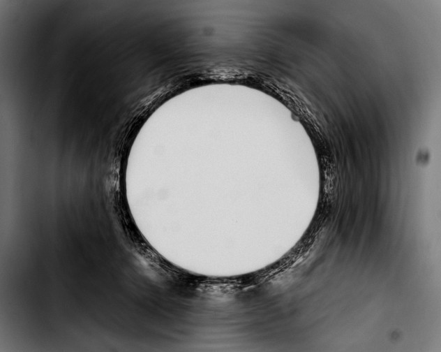 X0000103330368200810171429