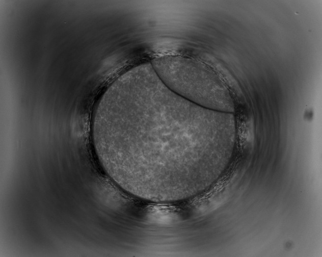 X0000103330372200810171429