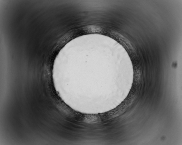 X0000103330373200810171429