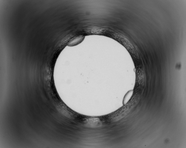 X0000103330374200810171429