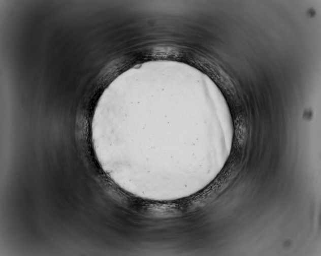 X0000103330375200810171429