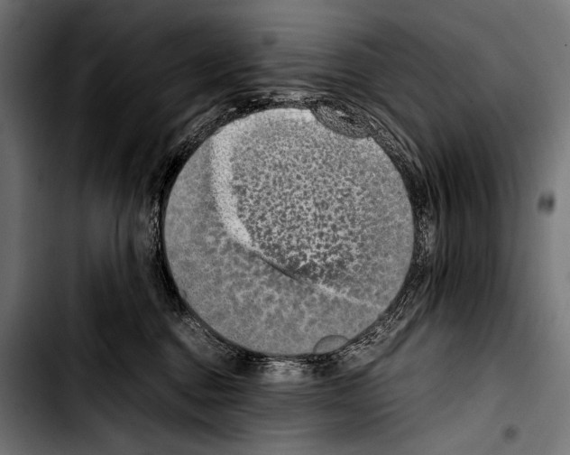 X0000103330376200810171429