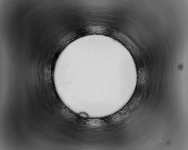 X0000103330377200810171429