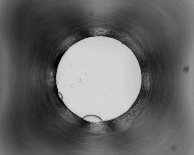 X0000103330378200810171429