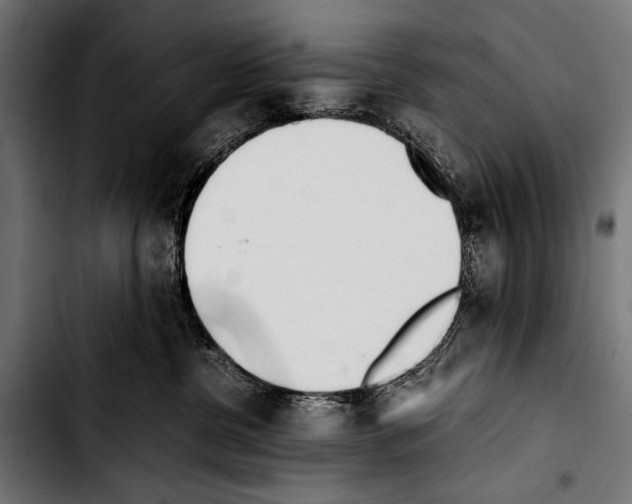 X0000103330380200810171429