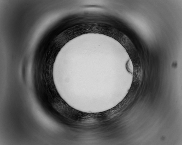 X0000103330381200810171429