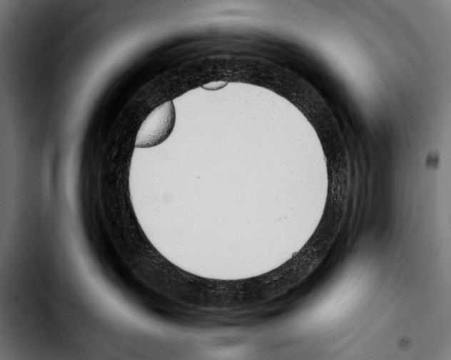 X0000103330383200810171429