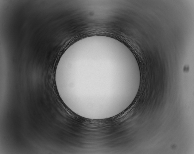 X0000103330384200810171429