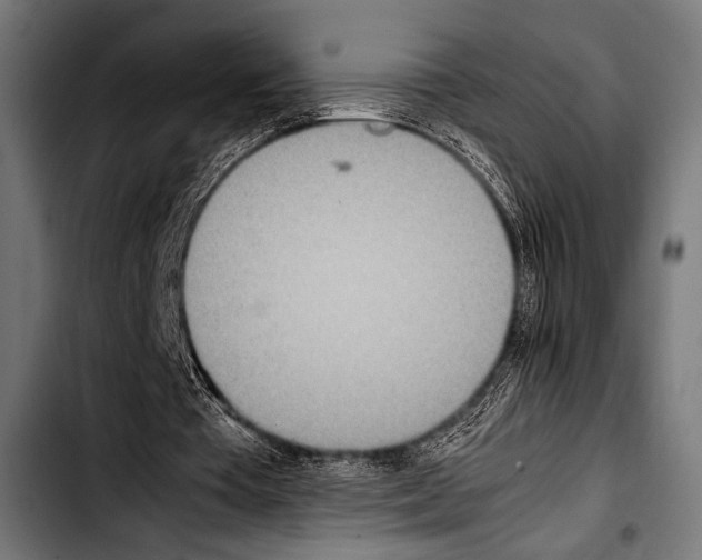 X0000103330385200810171429