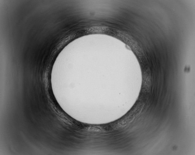 X0000103330386200810171429