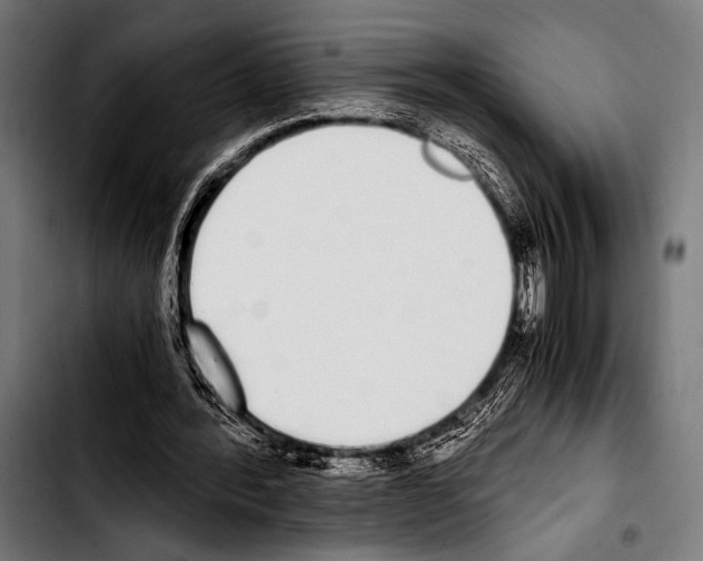 X0000103330388200810171429