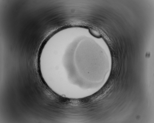 X0000103330391200810171429