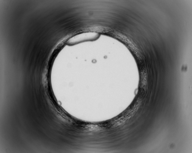 X0000103330392200810171429