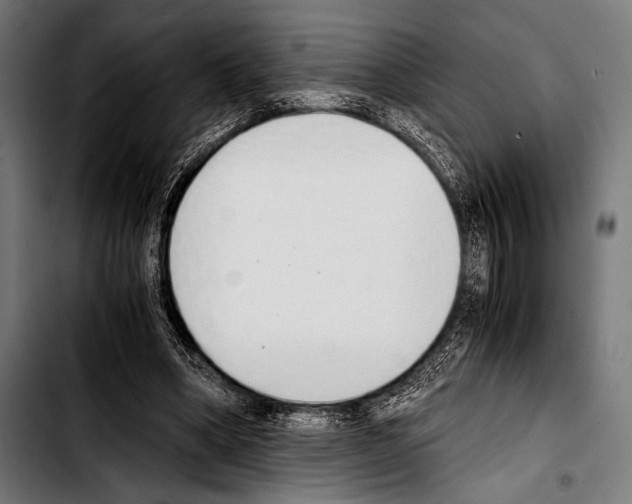 X0000103330394200810171429