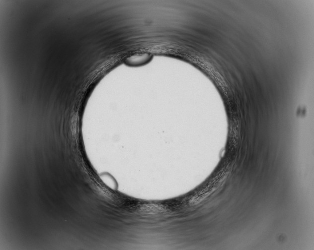 X0000103330397200810171429