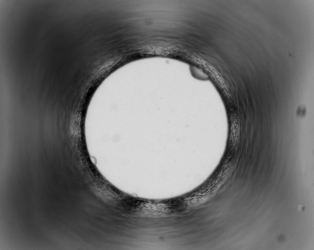 X0000103330403200810171429