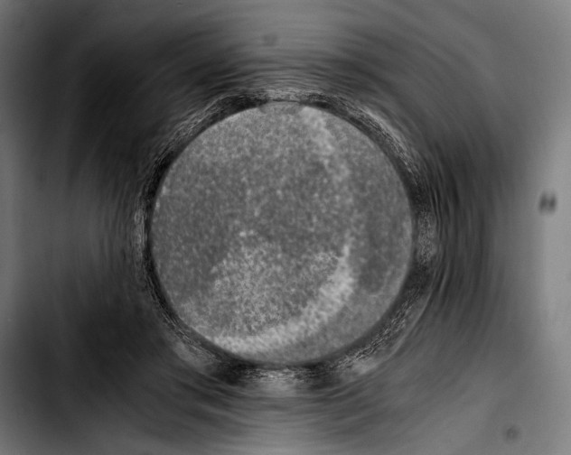 X0000103330405200810171428