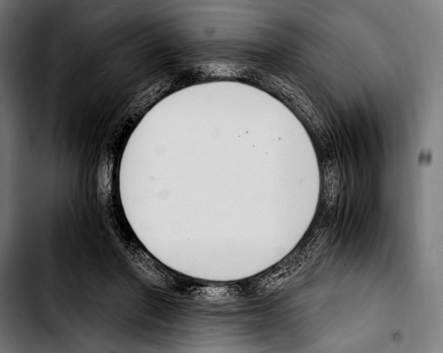 X0000103330406200810171428