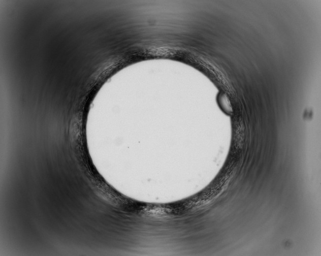 X0000103330407200810171428