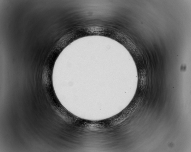 X0000103330408200810171428