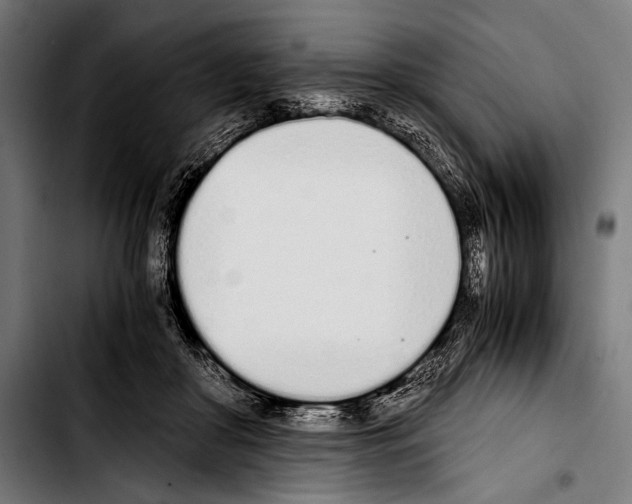 X0000103330410200810171428