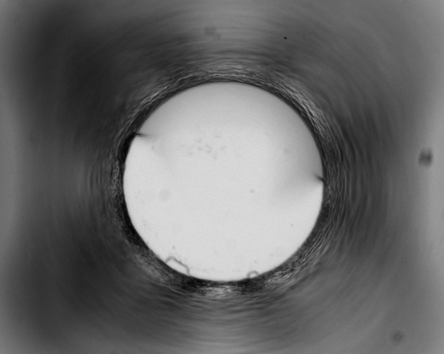 X0000103330411200810171428