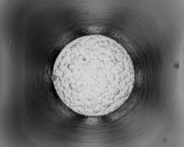 X0000103330418200810171428